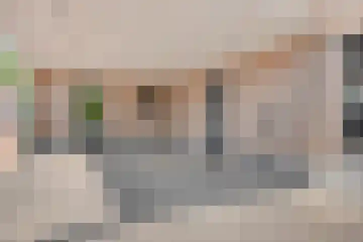 Kamille 1 Bladel thumbnail 4