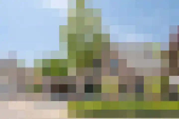 Kamille 1 Bladel thumbnail 40