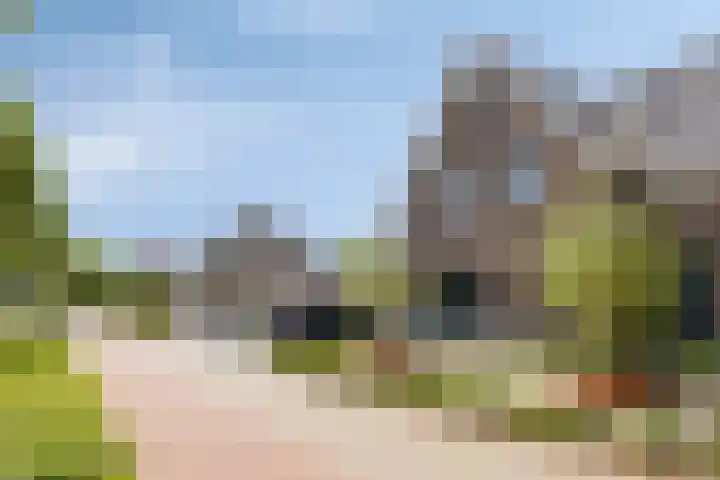 Kamille 1 Bladel thumbnail 41