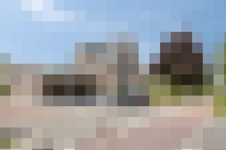 Kamille 1 Bladel thumbnail 42