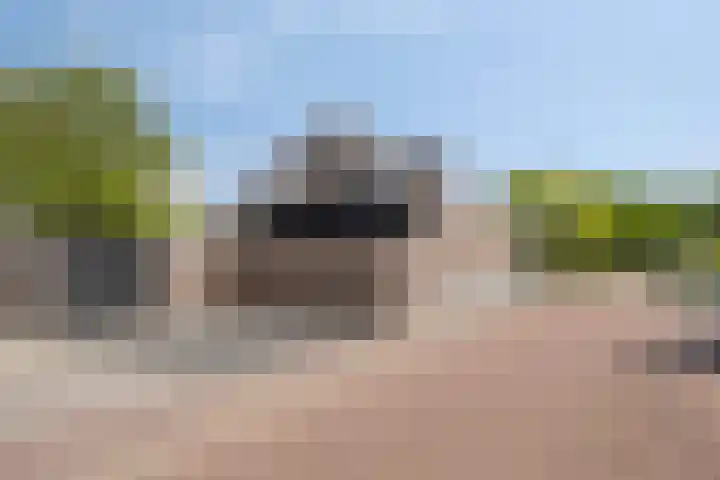 Kamille 1 Bladel thumbnail 44