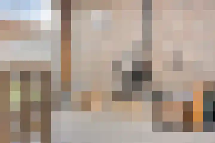 Kamille 1 Bladel thumbnail 46