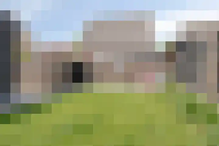 Kamille 1 Bladel thumbnail 49