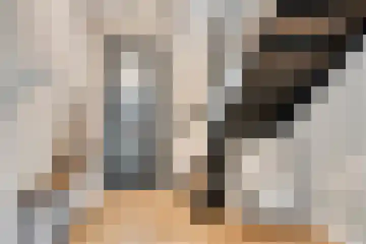 Kamille 1 Bladel thumbnail 5