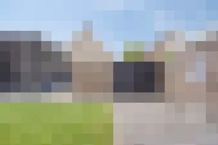 Kamille 1 Bladel thumbnail 50