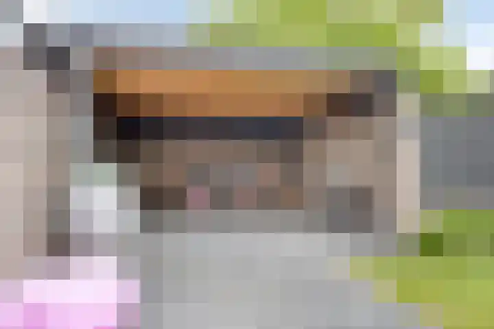 Kamille 1 Bladel thumbnail 51