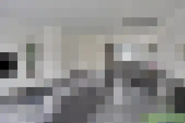Kamille 10 Asten thumbnail 11