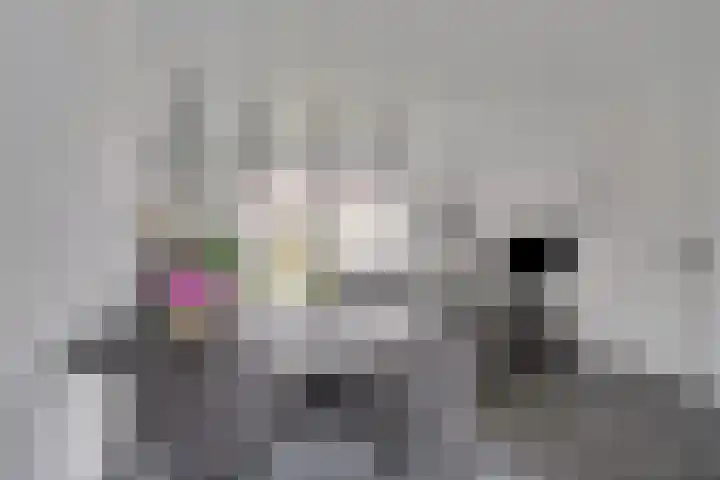 Kamille 10 Asten thumbnail 13