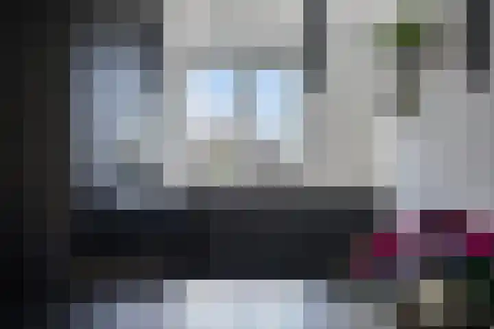 Kamille 10 Asten thumbnail 14