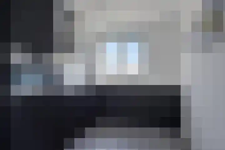 Kamille 10 Asten thumbnail 15
