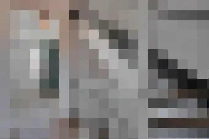 Kamille 10 Asten thumbnail 16