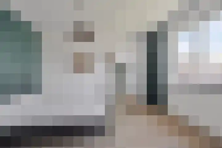 Kamille 10 Asten thumbnail 18