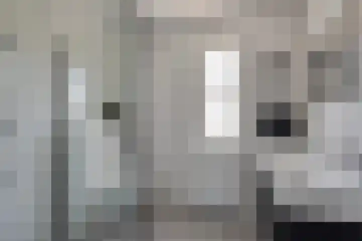 Kamille 10 Asten thumbnail 22