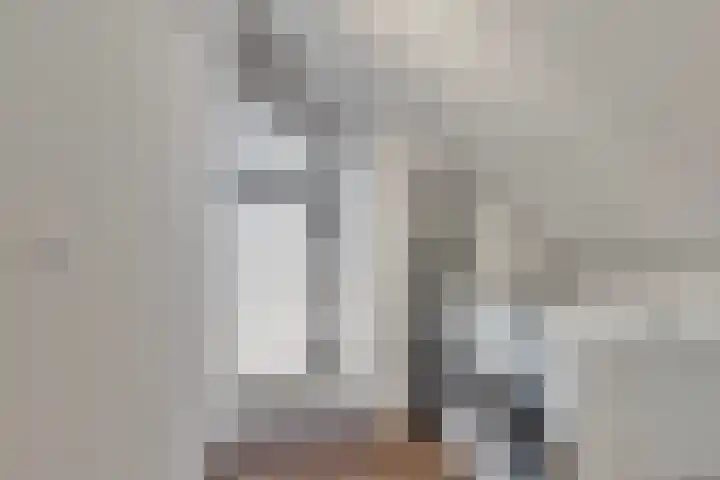 Kamille 10 Asten thumbnail 24