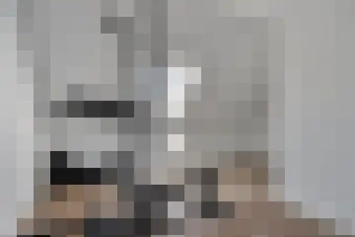 Kamille 10 Asten thumbnail 27