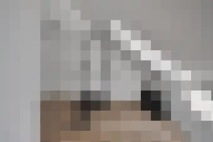 Kamille 10 Asten thumbnail 28