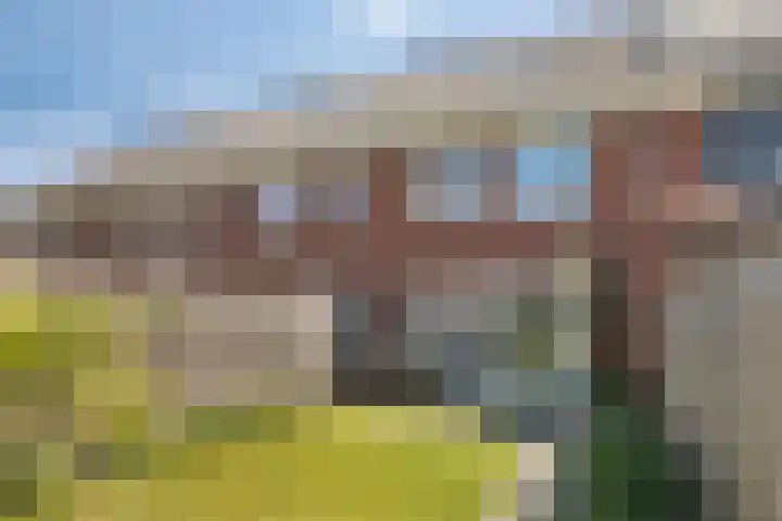 Kamille 10 Asten thumbnail 29