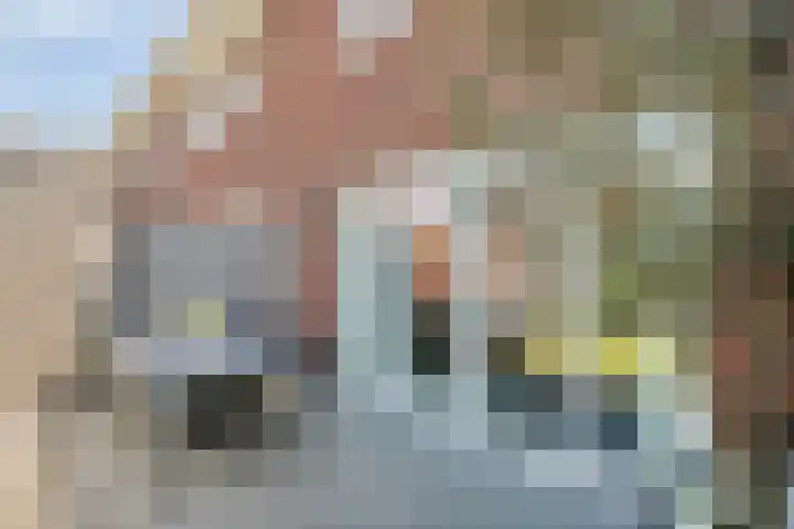 Kamille 10 Asten thumbnail 30