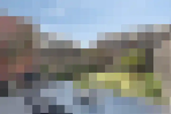 Kamille 10 Asten thumbnail 32