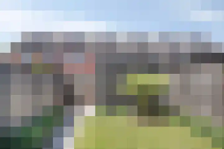 Kamille 10 Asten thumbnail 33