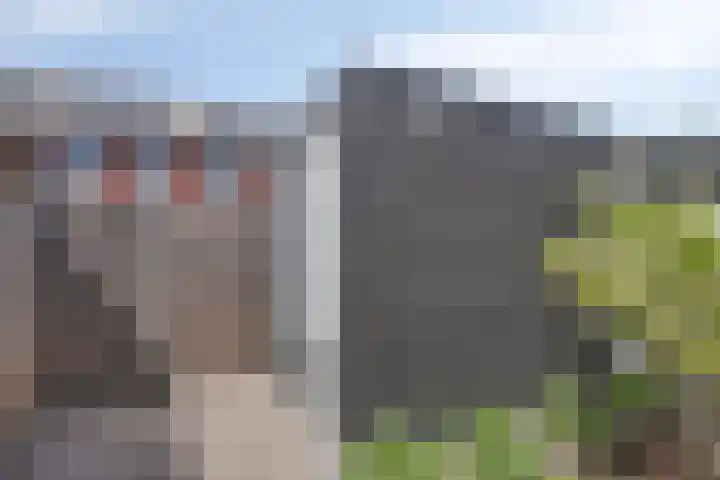 Kamille 10 Asten thumbnail 34