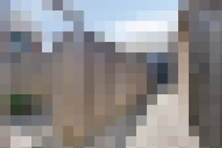 Kamille 10 Asten thumbnail 36