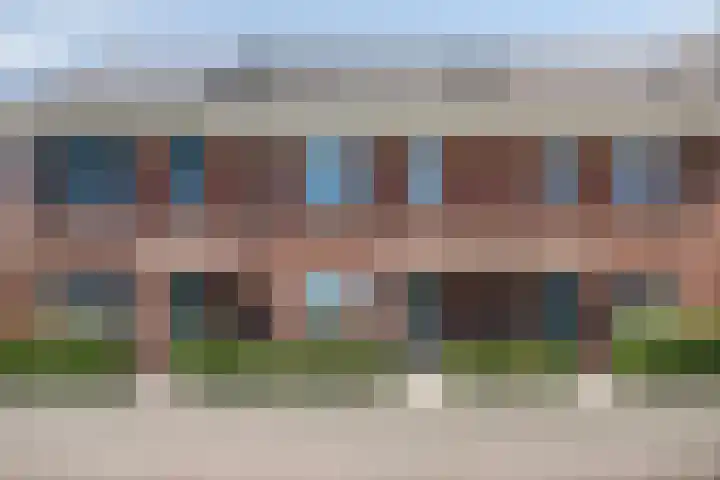 Kamille 10 Asten thumbnail 37