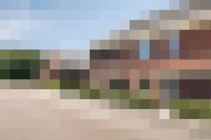 Kamille 10 Asten thumbnail 38
