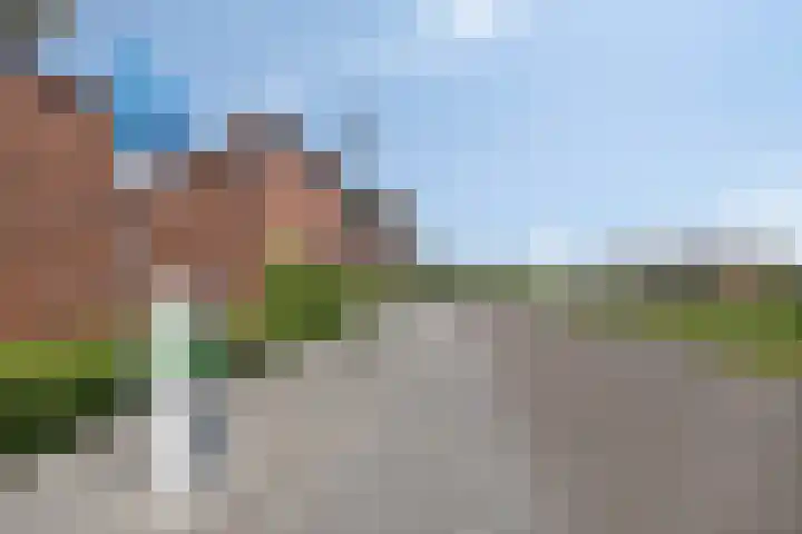 Kamille 10 Asten thumbnail 39