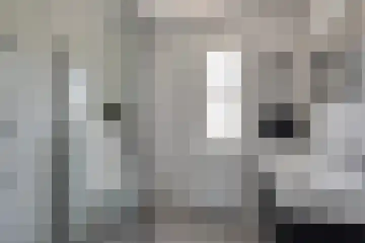 Kamille 10 Asten thumbnail 4