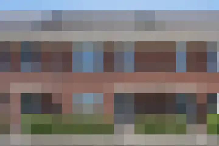 Kamille 10 Asten thumbnail 49