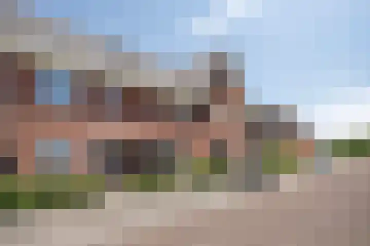 Kamille 10 Asten thumbnail 6