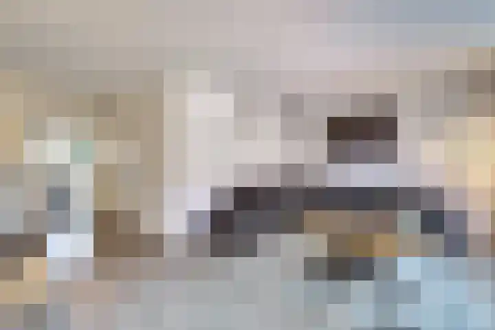 Kamille 10 Deventer thumbnail 10
