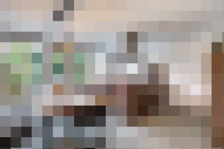 Kamille 10 Deventer thumbnail 12
