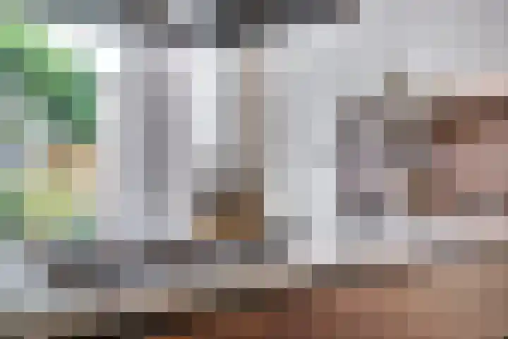 Kamille 10 Deventer thumbnail 13