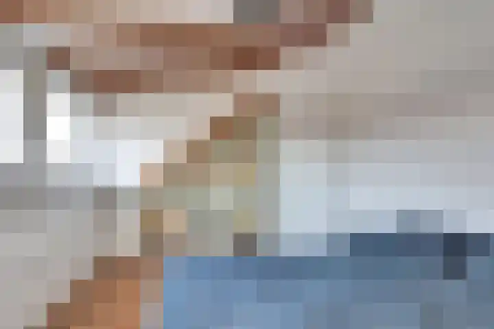Kamille 10 Deventer thumbnail 22