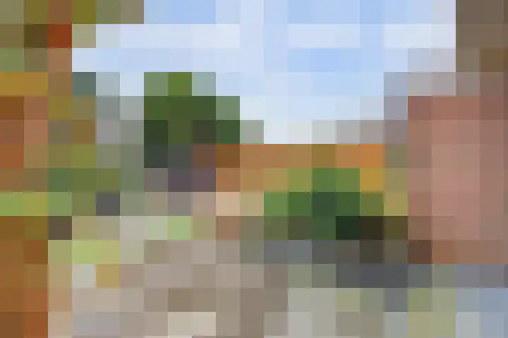 Kamille 10 Deventer thumbnail 30