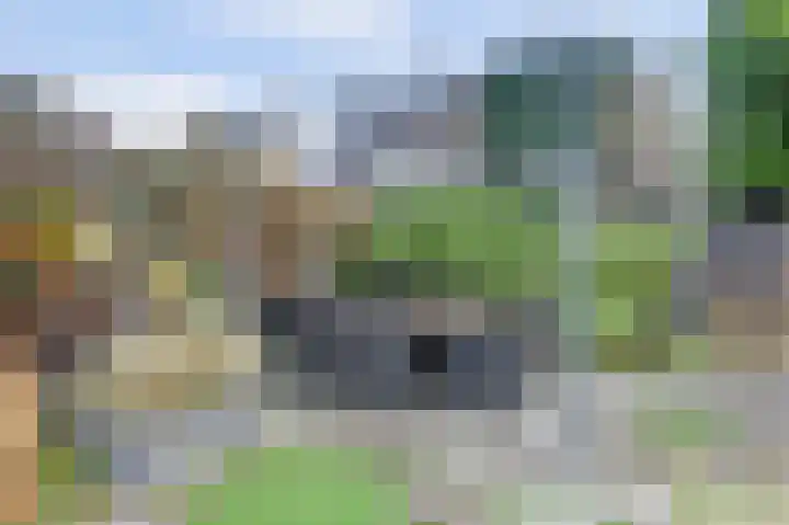 Kamille 10 Deventer thumbnail 31