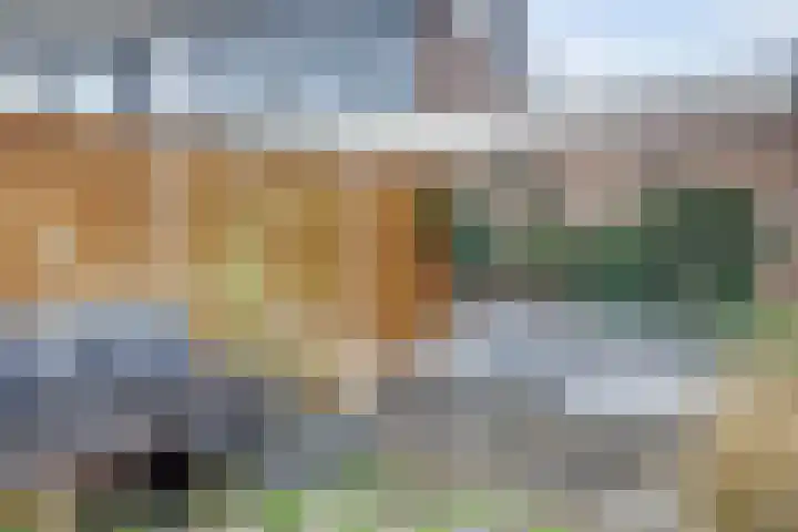 Kamille 10 Deventer thumbnail 32