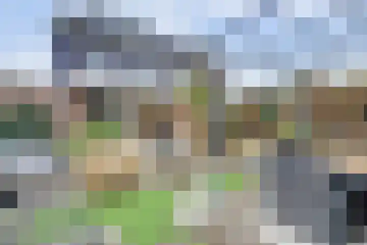 Kamille 10 Deventer thumbnail 33