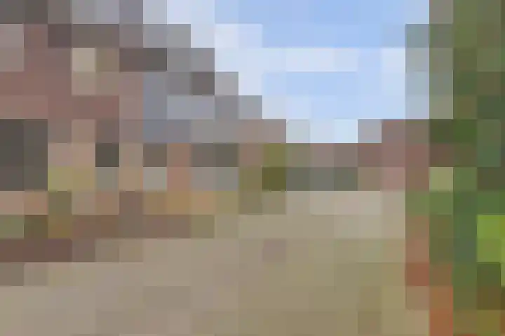 Kamille 10 Deventer thumbnail 5
