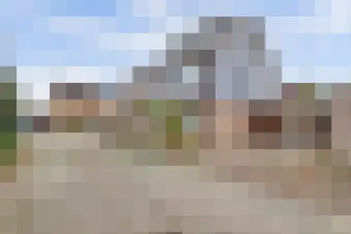 Kamille 10 Deventer thumbnail 6