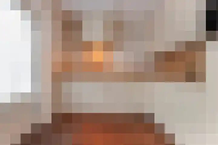 Kamille 10 Udenhout thumbnail 18
