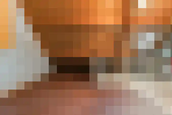 Kamille 10 Udenhout thumbnail 32