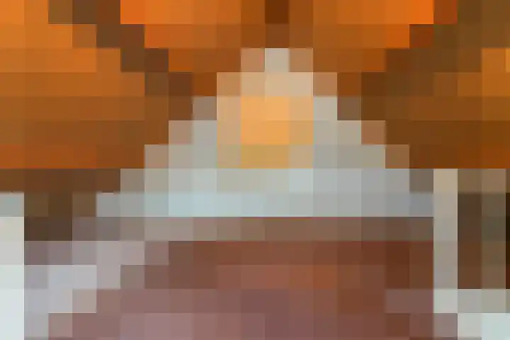 Kamille 10 Udenhout thumbnail 33