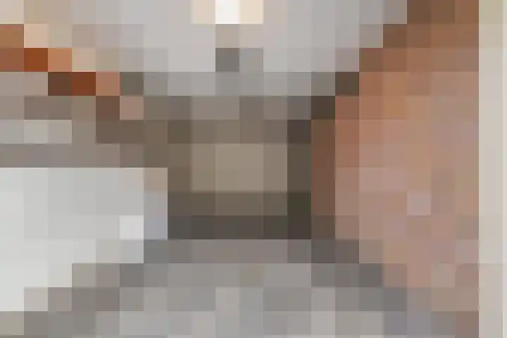 Kamille 10 Udenhout thumbnail 36