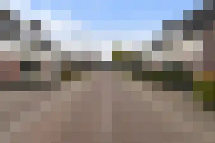Kamille 10 Udenhout thumbnail 4