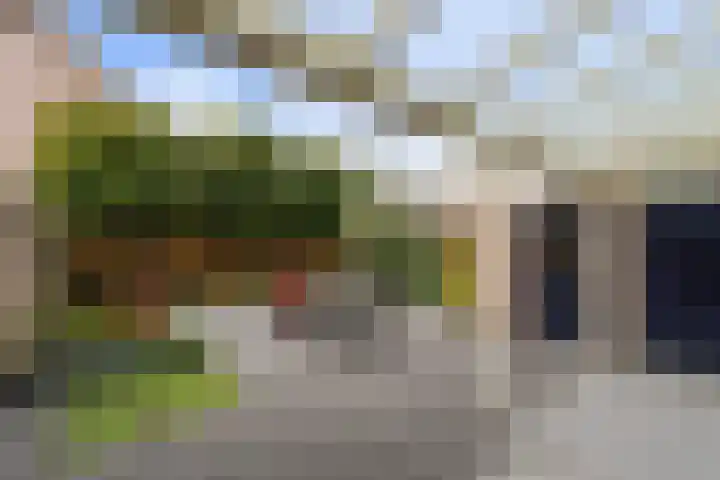 Kamille 10 Udenhout thumbnail 40