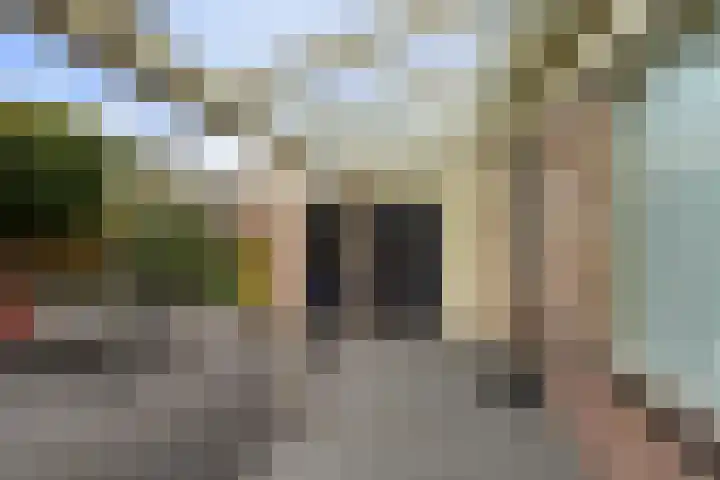 Kamille 10 Udenhout thumbnail 41