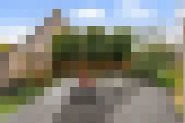 Kamille 10 Udenhout thumbnail 42
